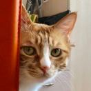 ღ᭄ꦿ乔²⁰࿐