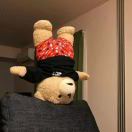 百度收录链接抓取