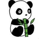 adan's Avatar