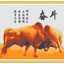 于先生的头像