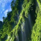 严明正