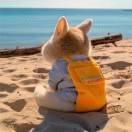 汪明鑫-秀琴曲谱网