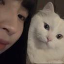 用户#137864