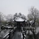 卡迪夫求租
