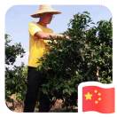 张果喜13540296350