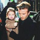 王崇瑞的头像-风行者社区