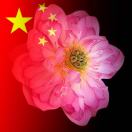 简单168657