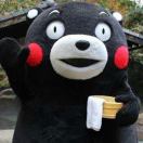 飞天小熊