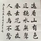 翁先生的头像