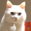 黄鑫