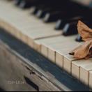 李宁🥇13753738310