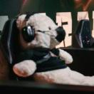 Grove Pointe转租&房东直租