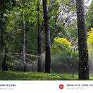 答案在风中飘的头像-皮圈圈手工皮具图纸