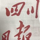 《四川日报》胡龙友