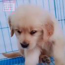 图先生的头像