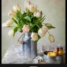 王小兵的头像 老秦