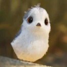 王子宁