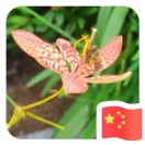 用户头像:
