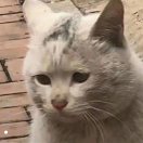wuyuhang409's Avatar