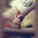 沙皮中的黑皮猪猪