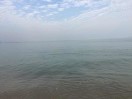 wx_言彰18