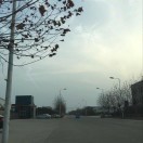 小_929