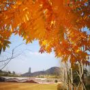 韦玉怀(北京小宝)