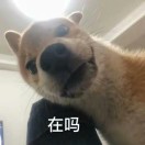 李女士的头像