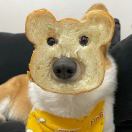 陈