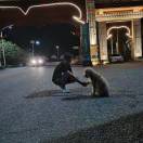 云南小叶芥菜张艳15587172468