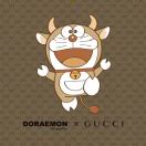 Dolaa™
