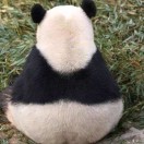 溪仔✨