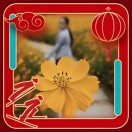 坤朋的头像-熵减岛