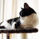 蜡烛、大大的太阳