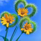 我把来生许给了你 (DJ老鹏) (DJ老鹏)