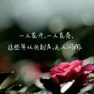 徐先生的头像