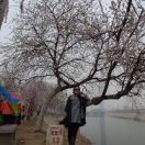 黃輝