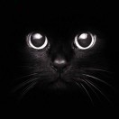 bluesx's Avatar