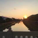 刘凯_203