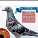 建安汇用户头像
