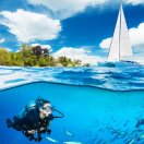 null转租&房东直租