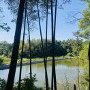 海涛的头像-熵减岛