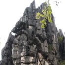 你知道-智囊圈