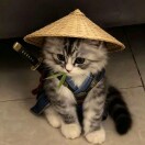 用户头像