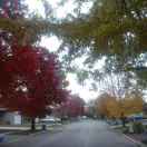 赵医生（双力）