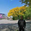 日月星辰专业装