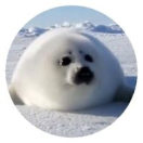 鈴鹿的头像-cg男孩