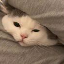 null转租&房东直租