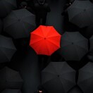 user_22vyt3cqvrwm8aw756805 member profile picture