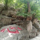 小青岛 